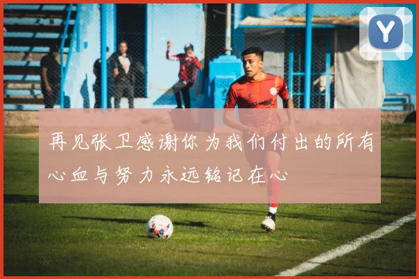 再见张卫感谢你为我们付出的所有心血与努力永远铭记在心