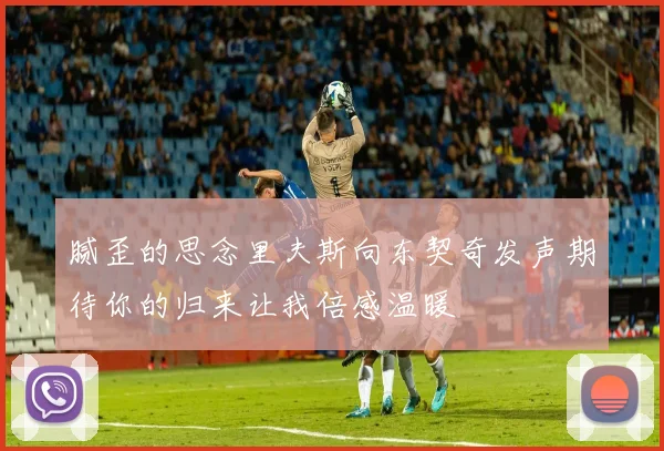 腻歪的思念里夫斯向东契奇发声期待你的归来让我倍感温暖