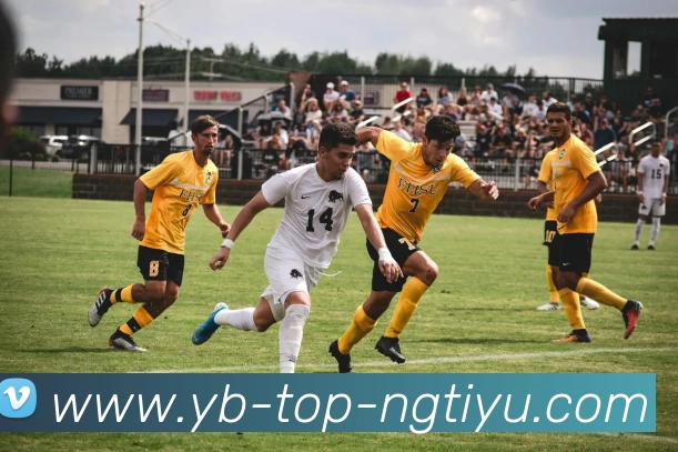 多媒体互动体验